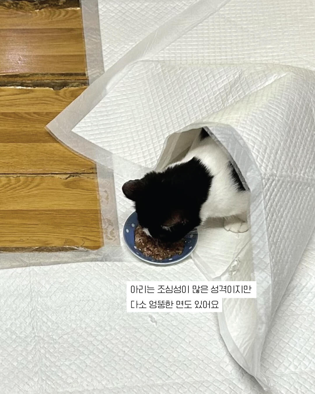 아리12.jpg