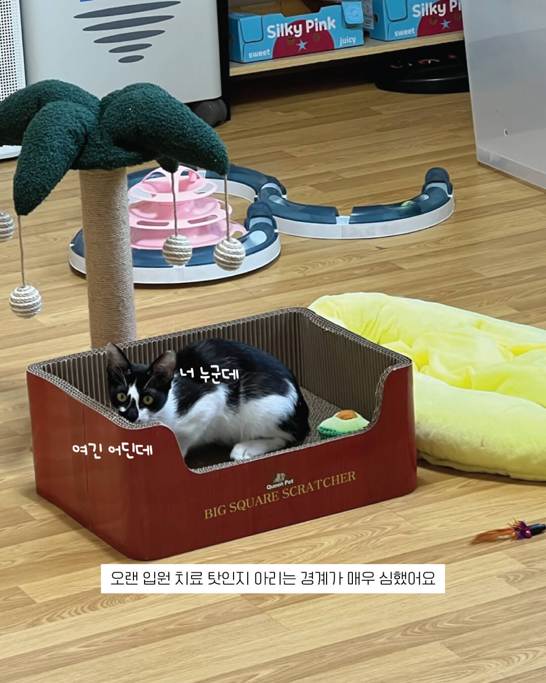 아리5.jpg