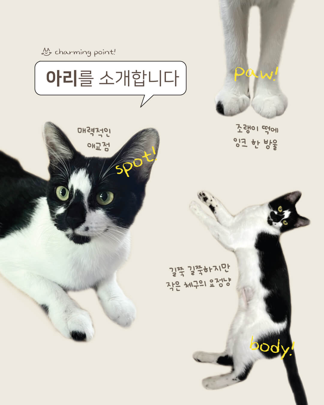 아리2.jpg