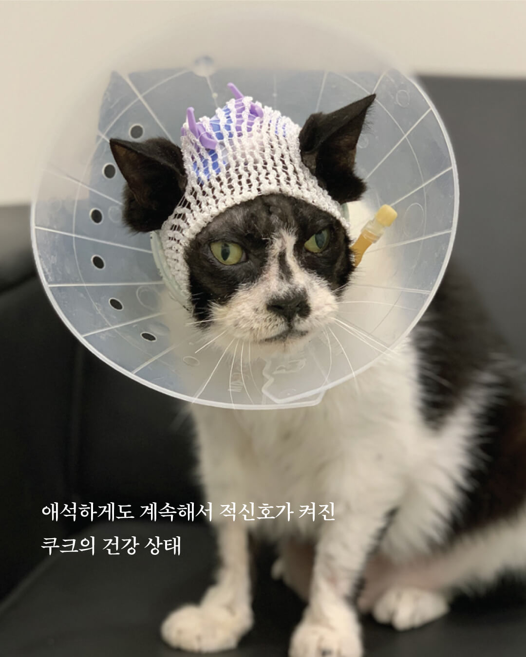 쿠크부고5.jpg