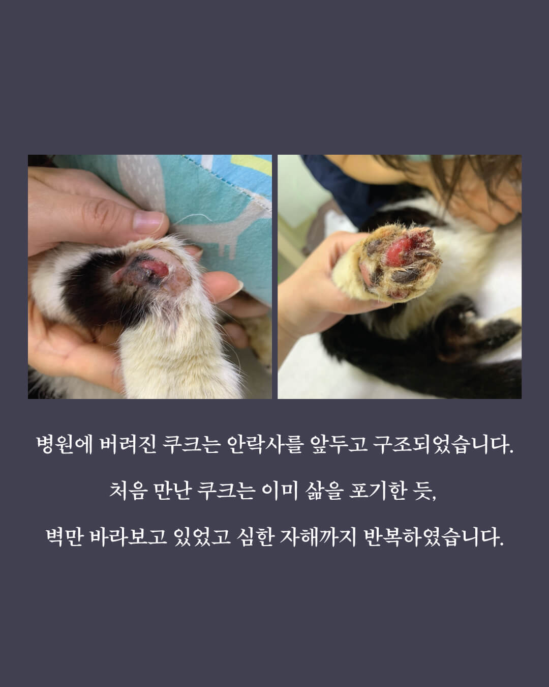 쿠크부고2.jpg