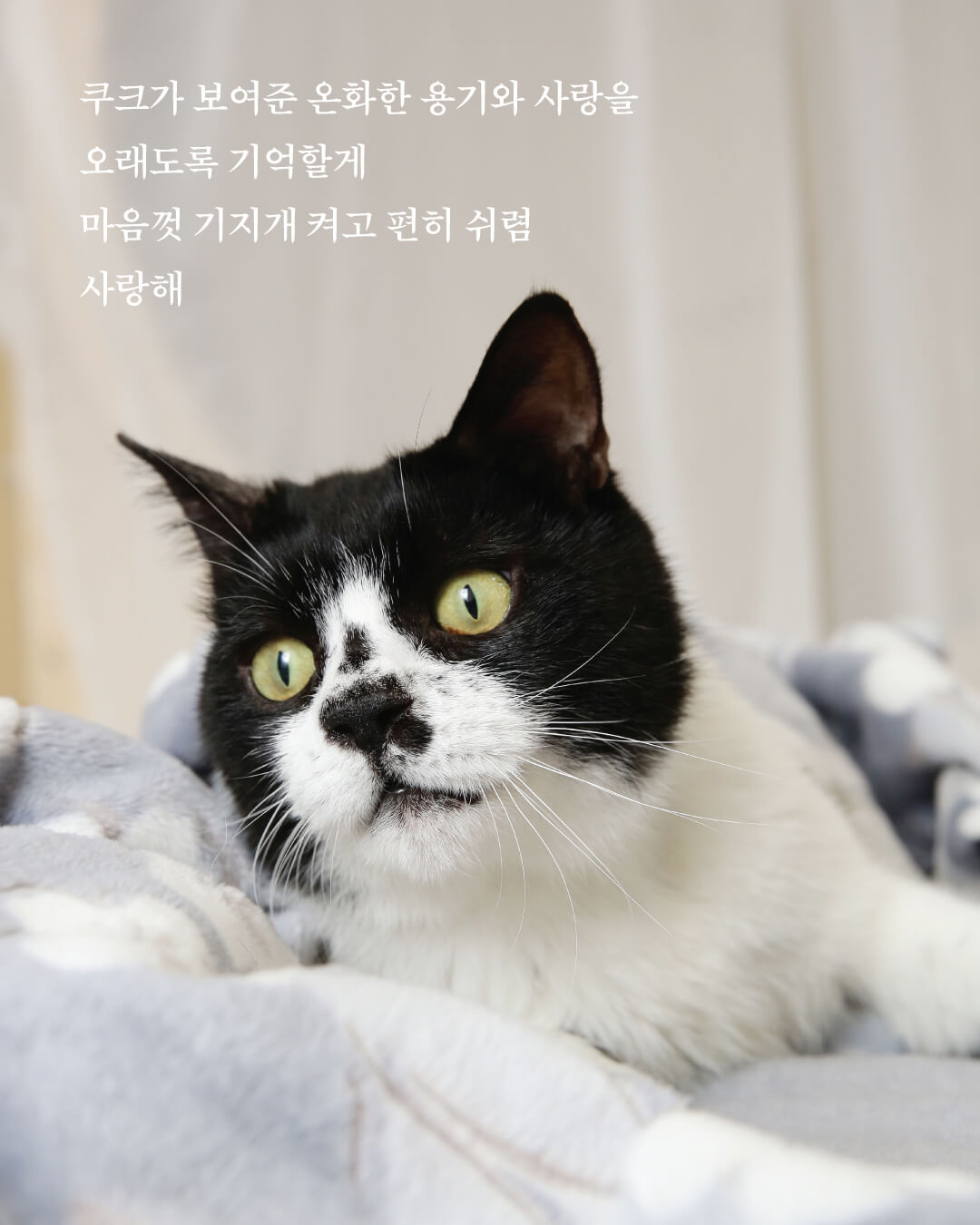 쿠크부고12.jpg