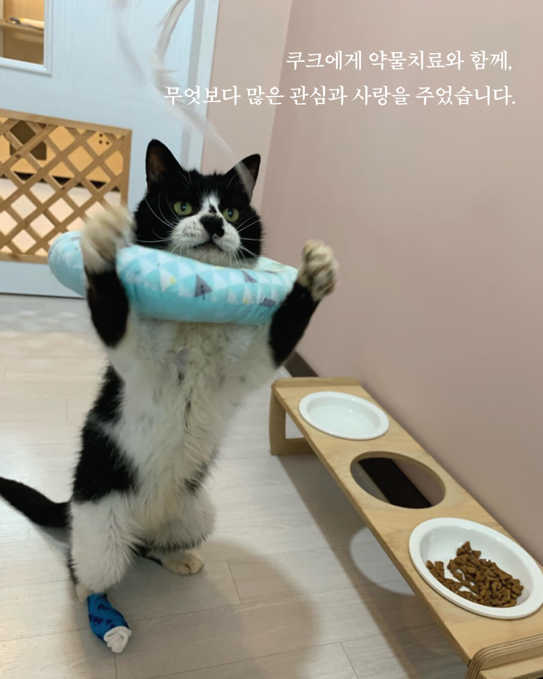 쿠크부고3.jpg