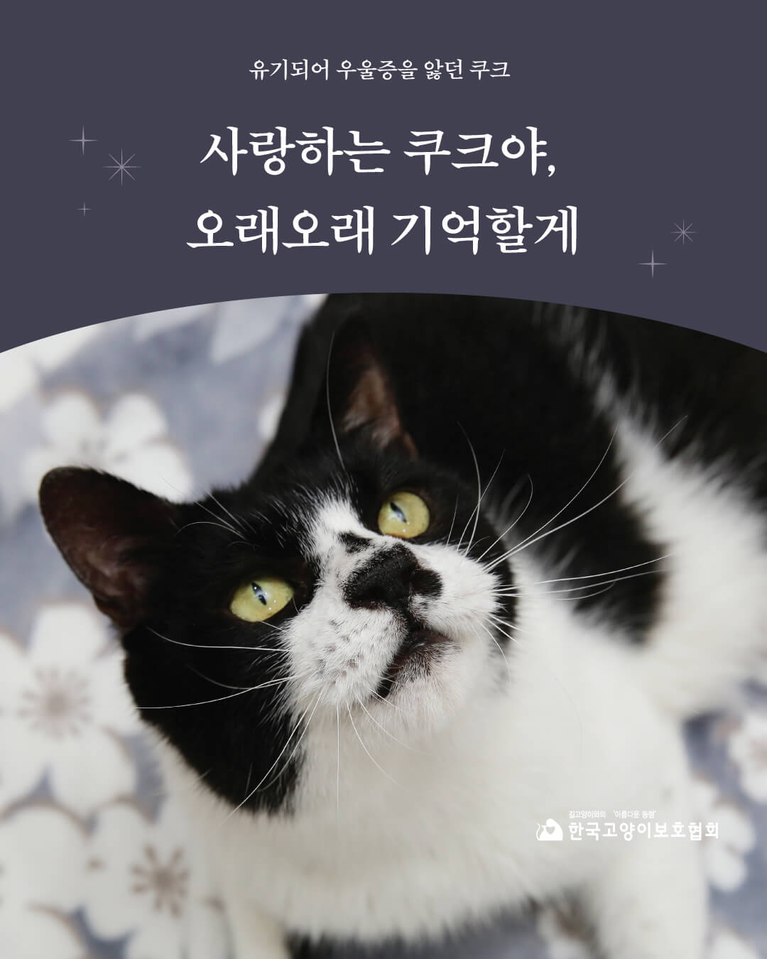 쿠크부고1.jpg
