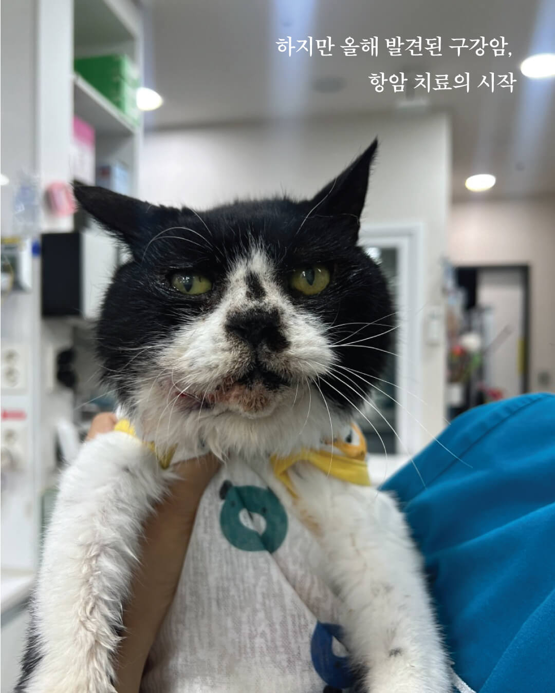 쿠크부고8.jpg