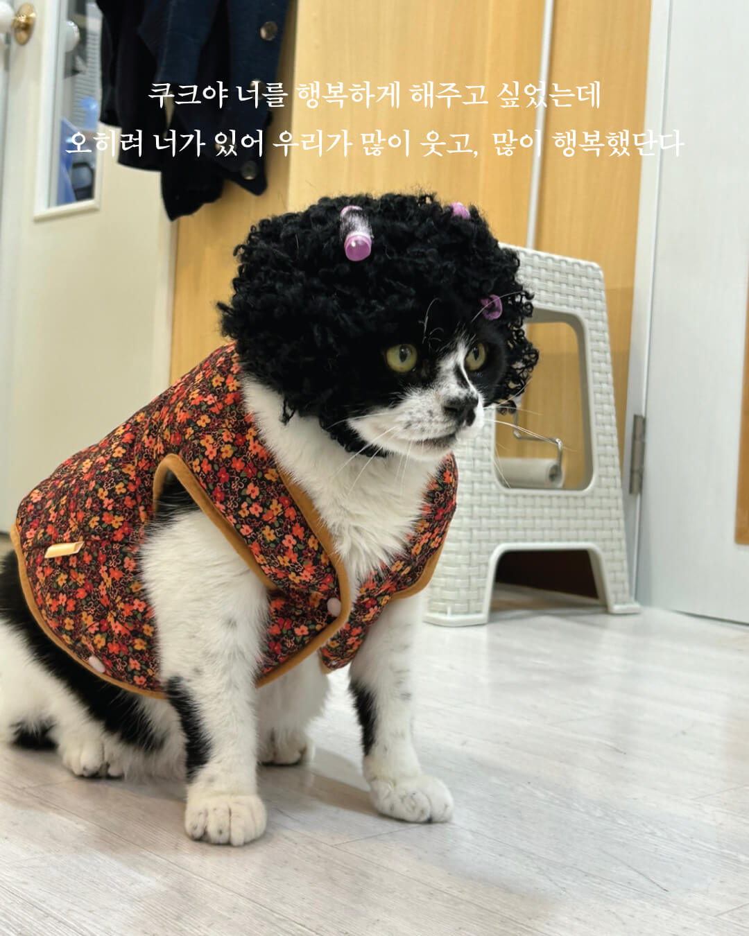 쿠크부고11.jpg