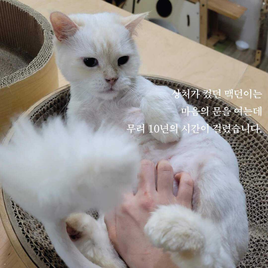 맥던3.jpg