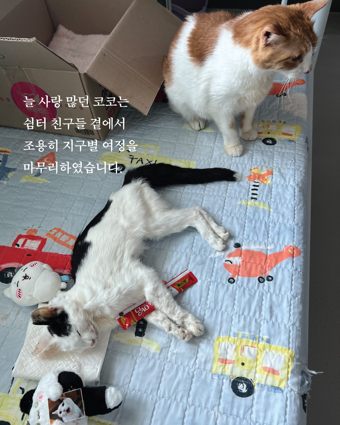 코코8.jpg