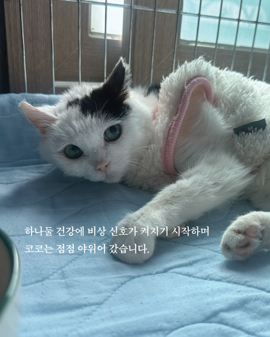 코코6.jpg