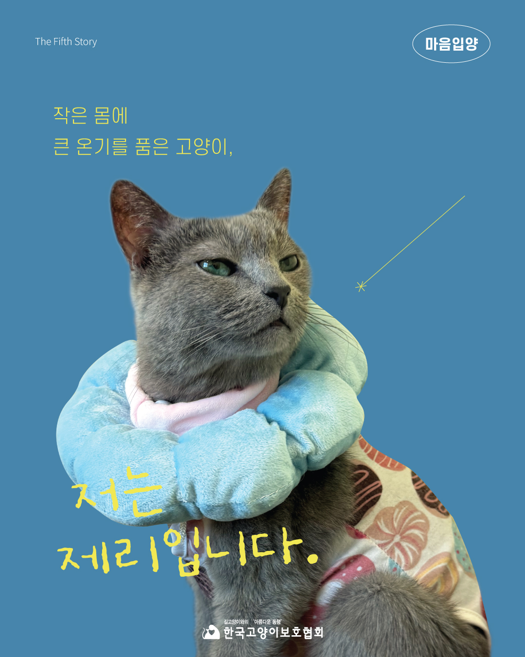 제리1.jpg
