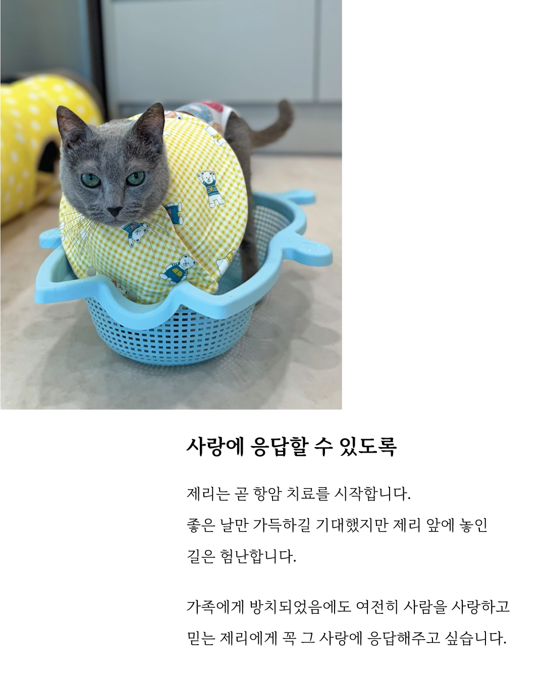 제리8.jpg