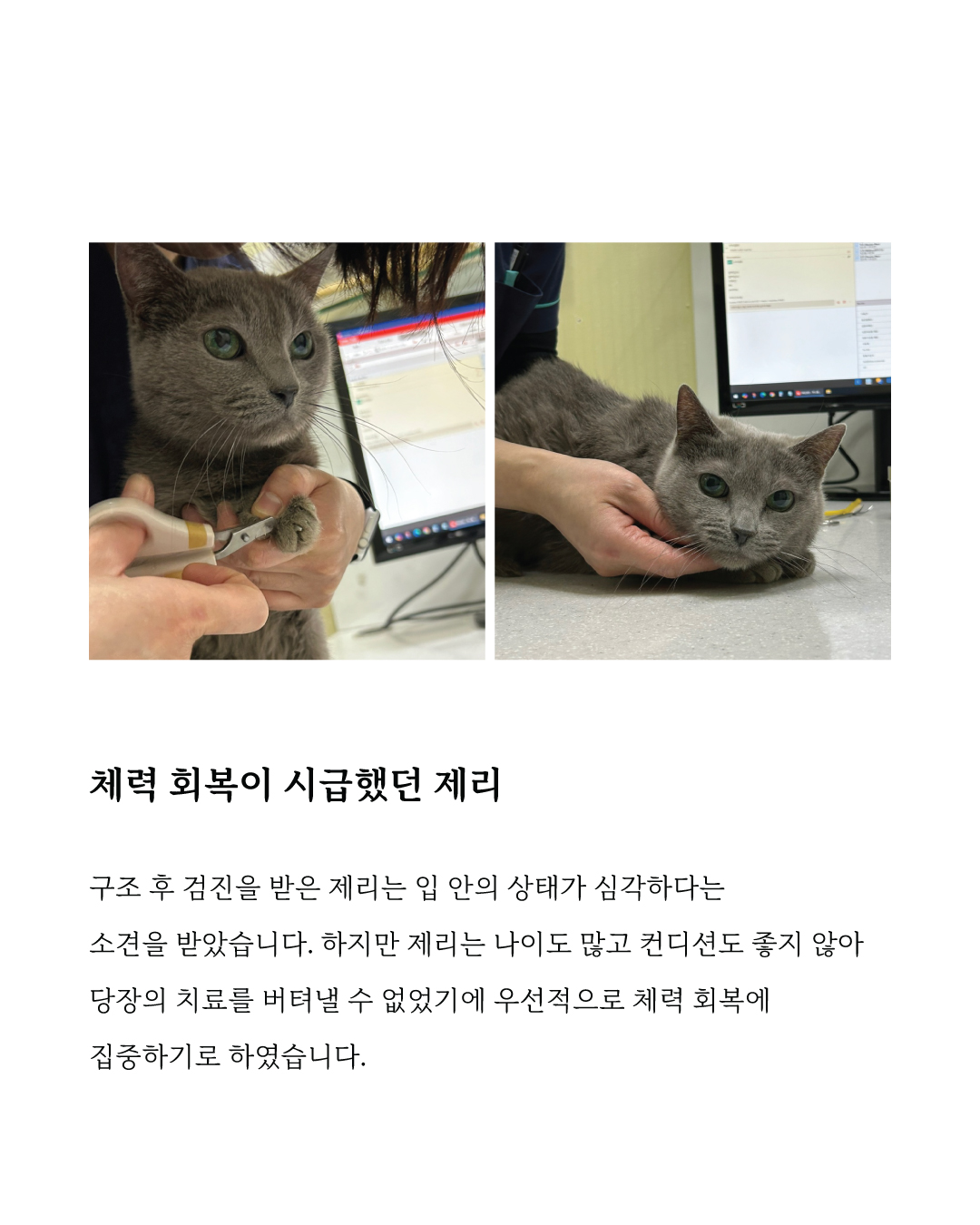 제리3.jpg