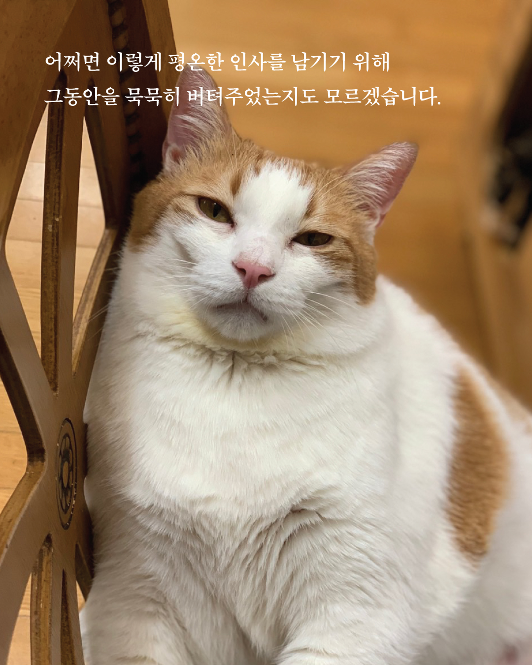 별이부고소식7.jpg