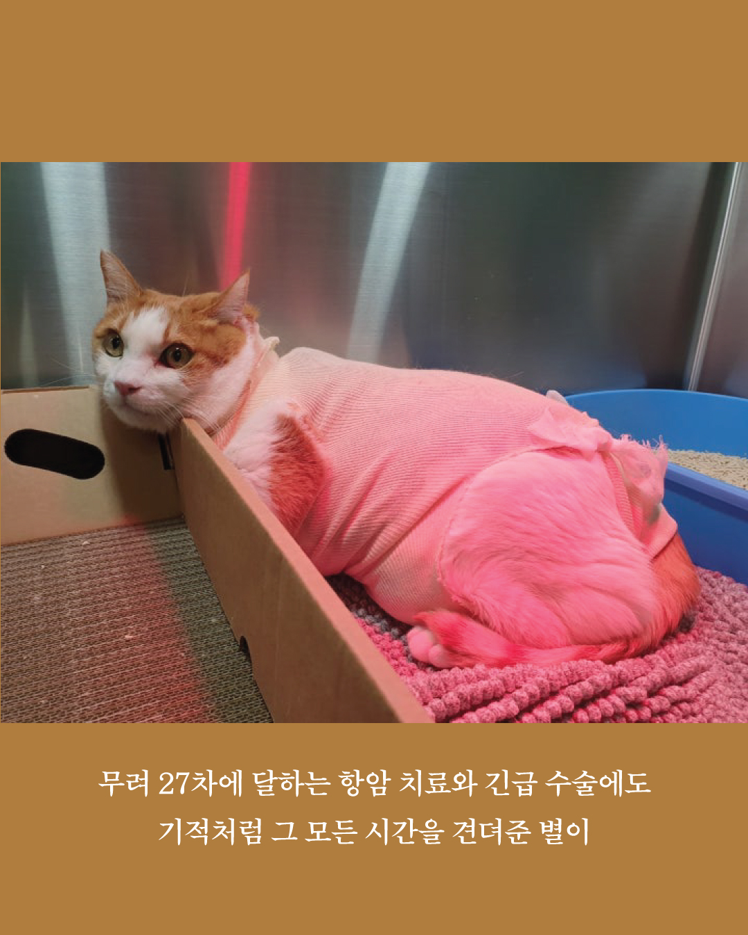 별이부고소식4.jpg