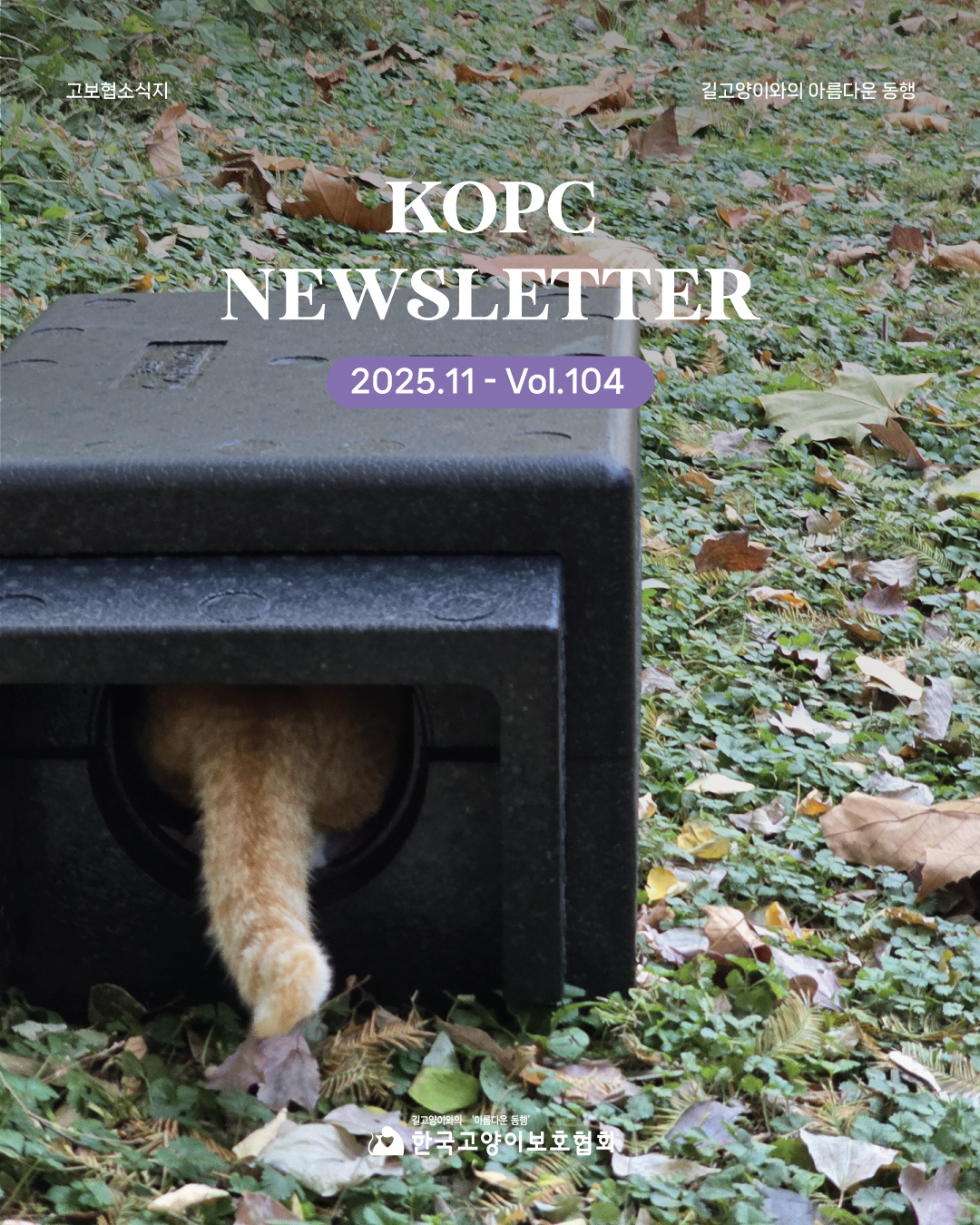 11월소식지1.jpg