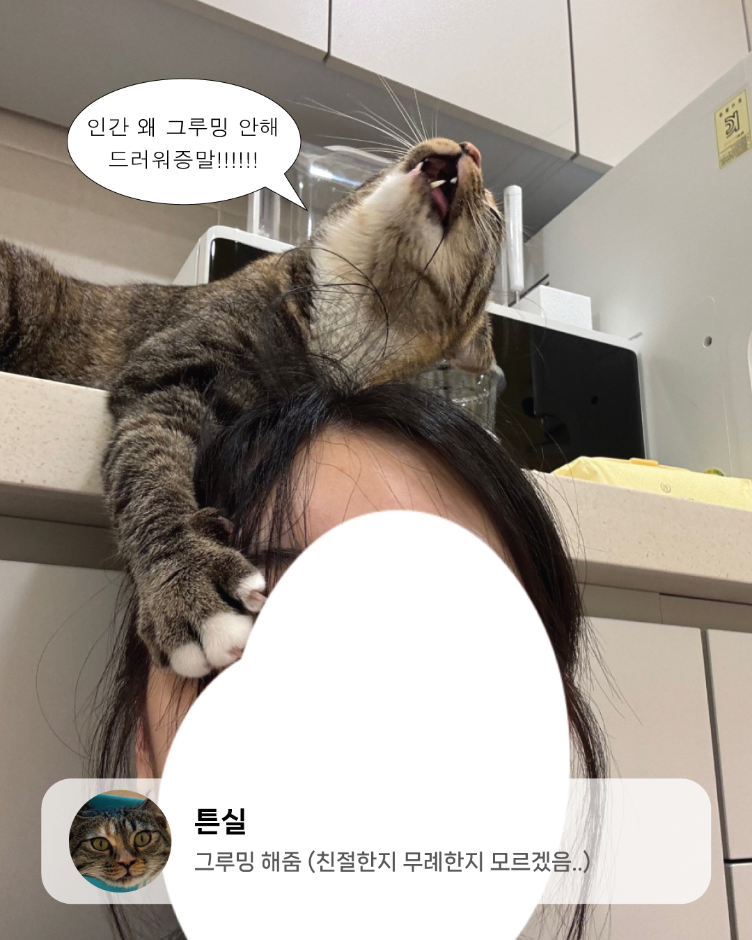 9월냥_12.jpg
