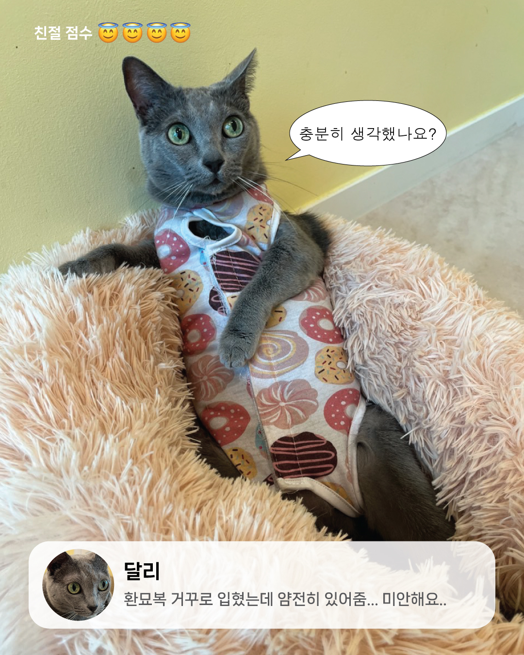 9월냥_4.jpg