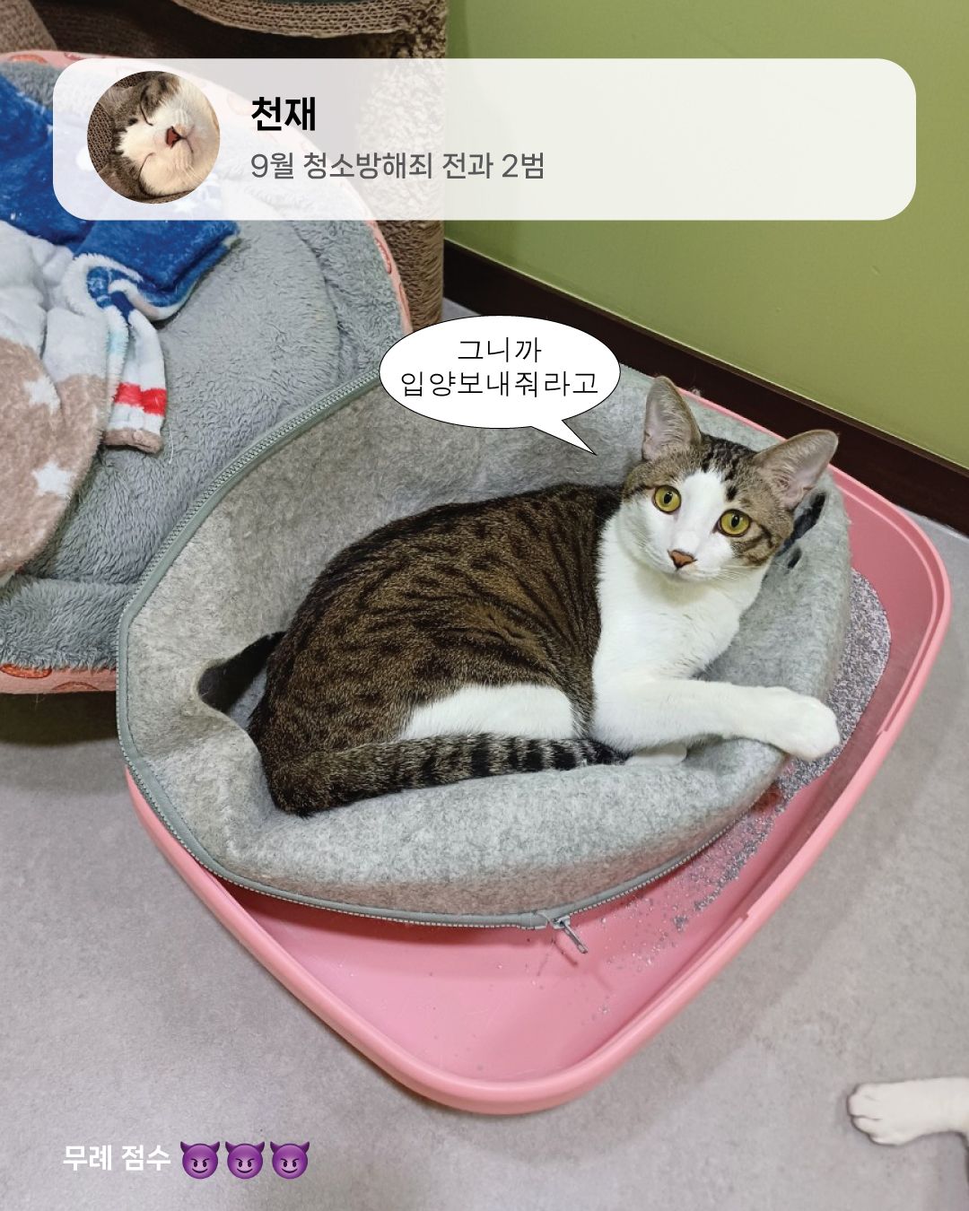 9월냥_9.jpg