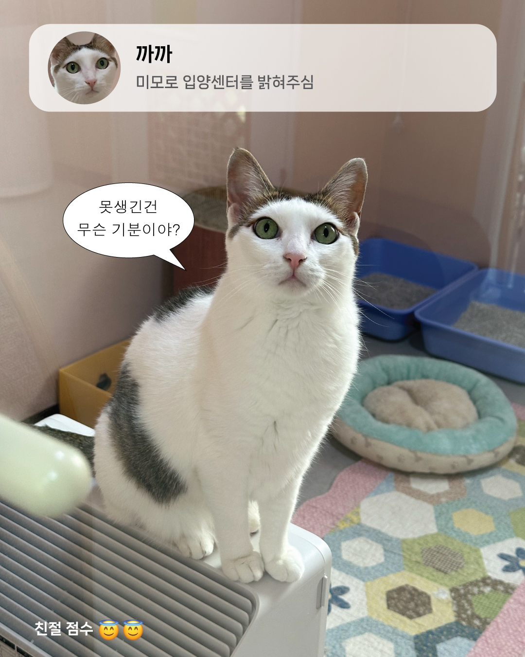 9월냥_6.jpg