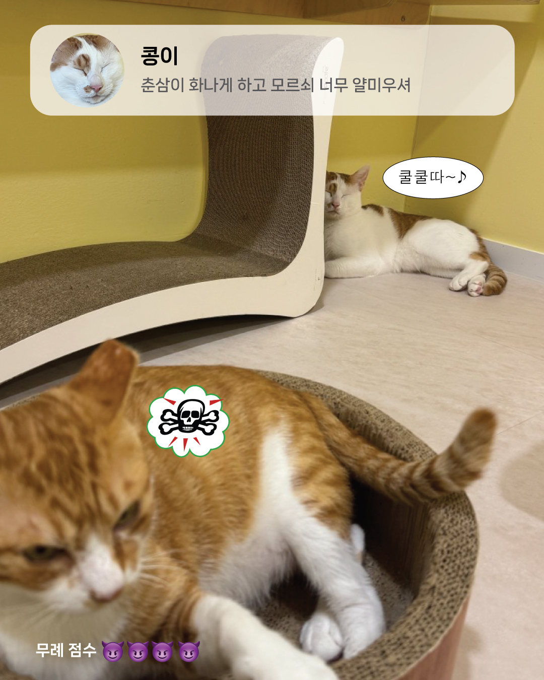 9월냥_13.jpg