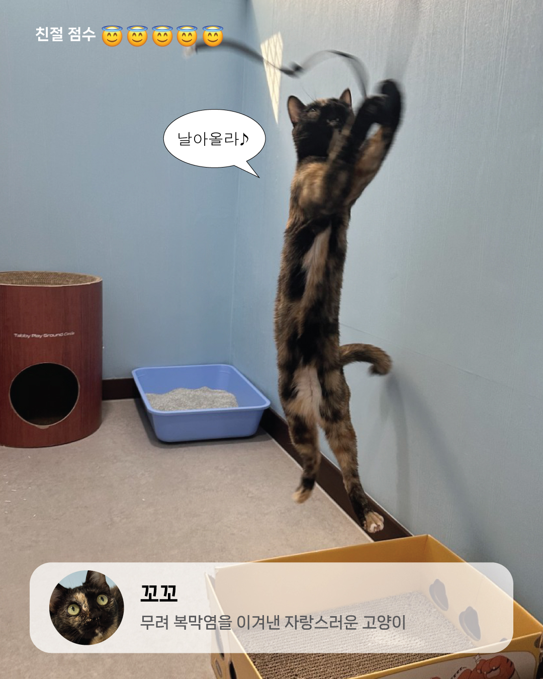 9월냥_8.jpg