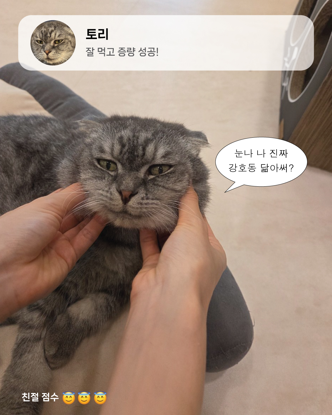 9월냥_10.jpg
