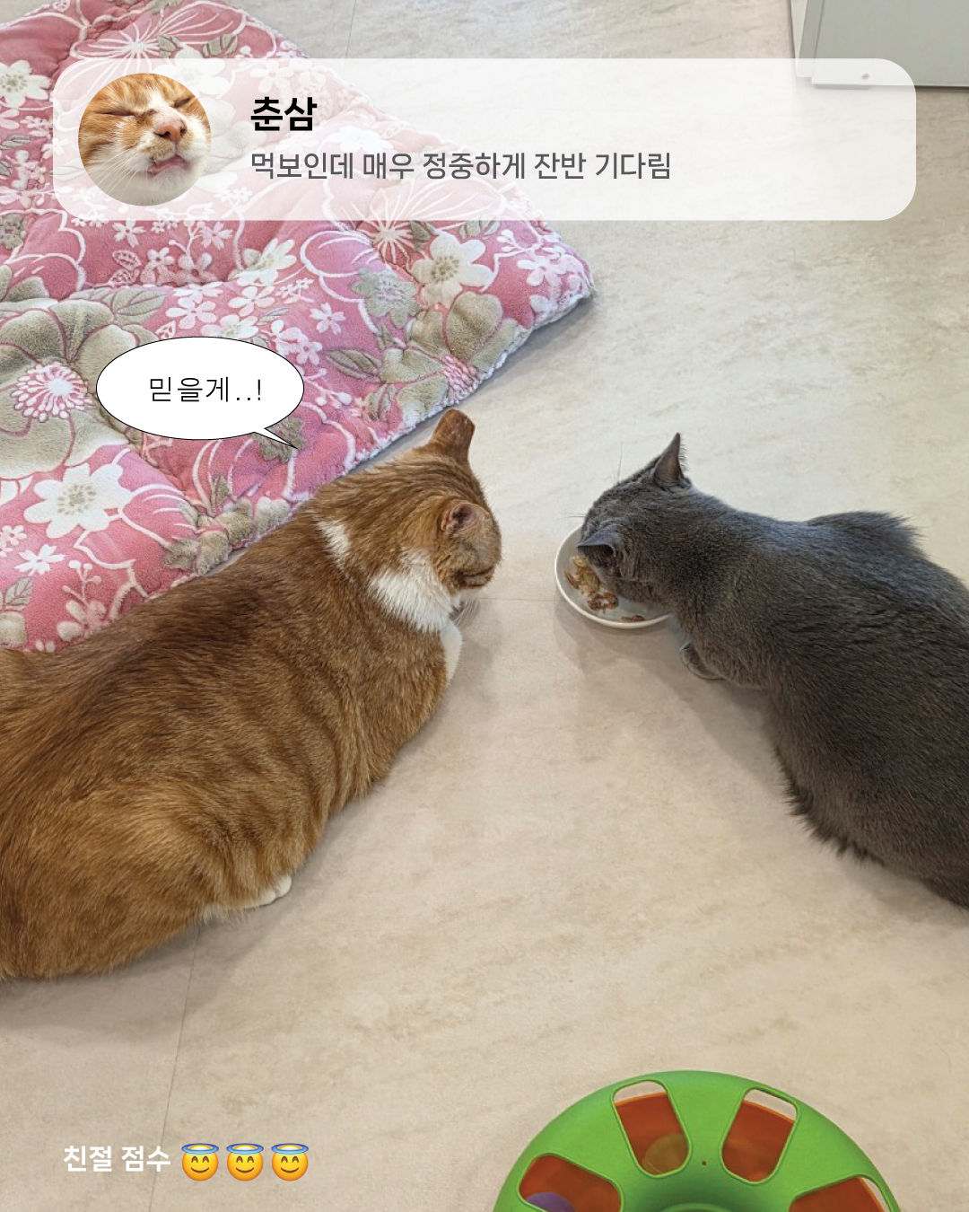 9월냥_2.jpg