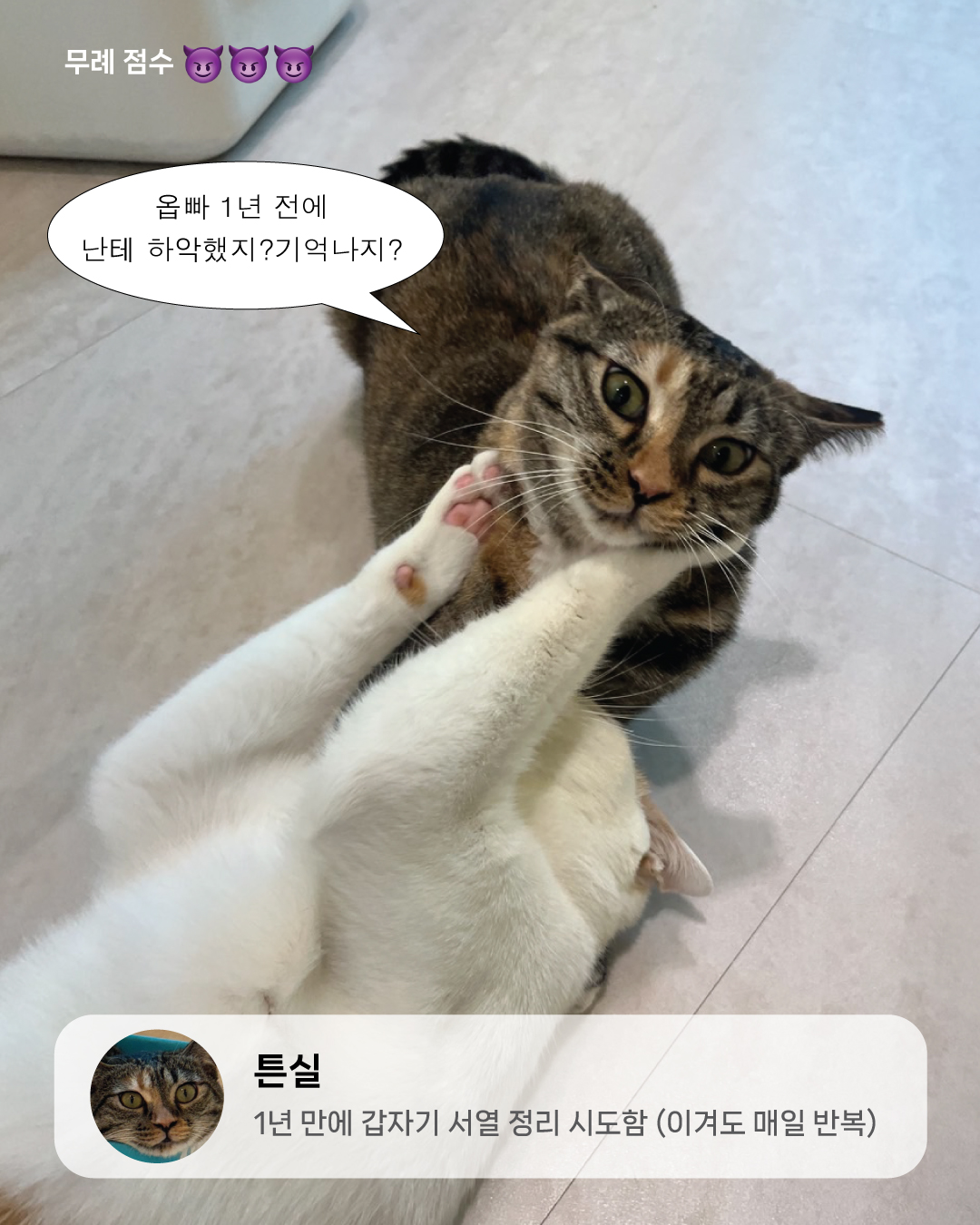 9월냥_3.jpg