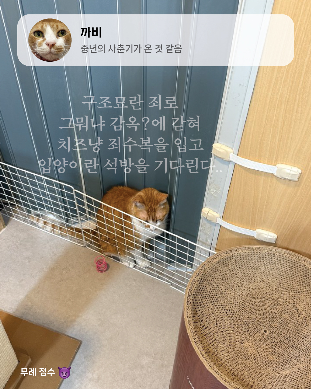 9월냥_11.jpg