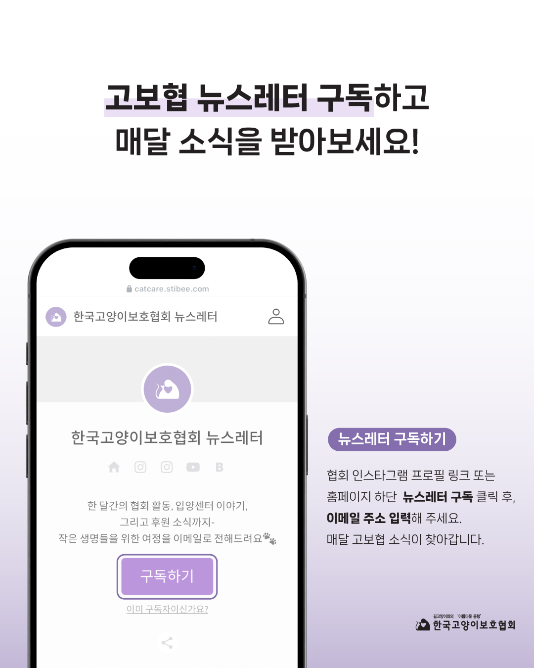 뉴스레터발송 (2).jpg