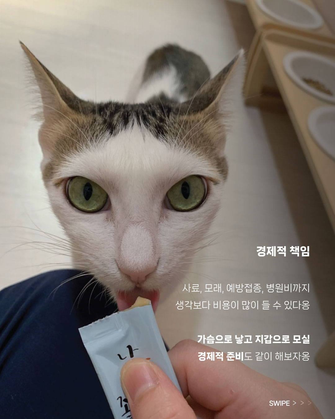 까까(5).jpg