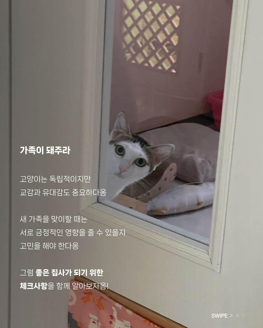 까까(2).jpg