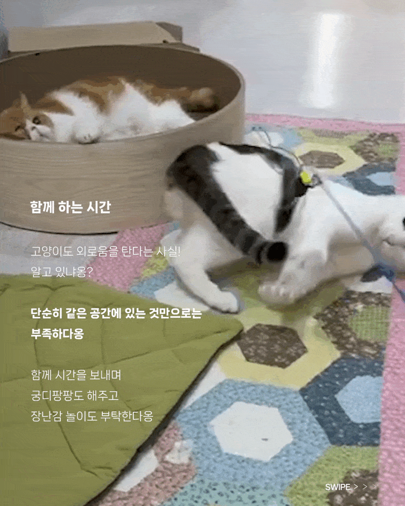 까까(4)-min.gif