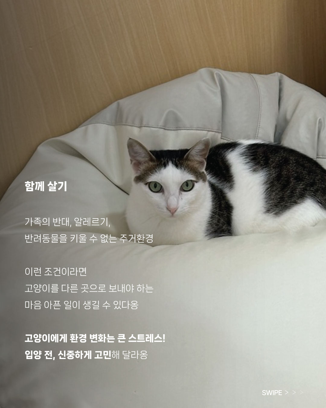 까까(3).jpg