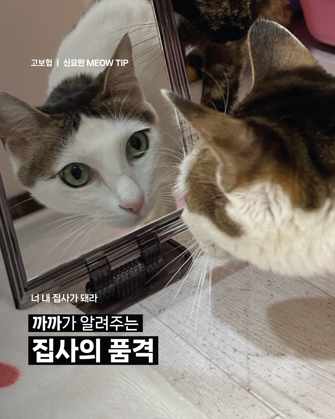 까까(1).jpg