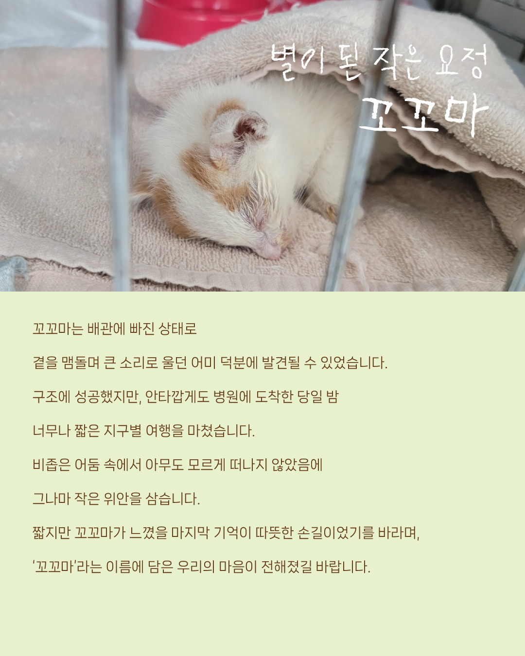 구조4.jpg
