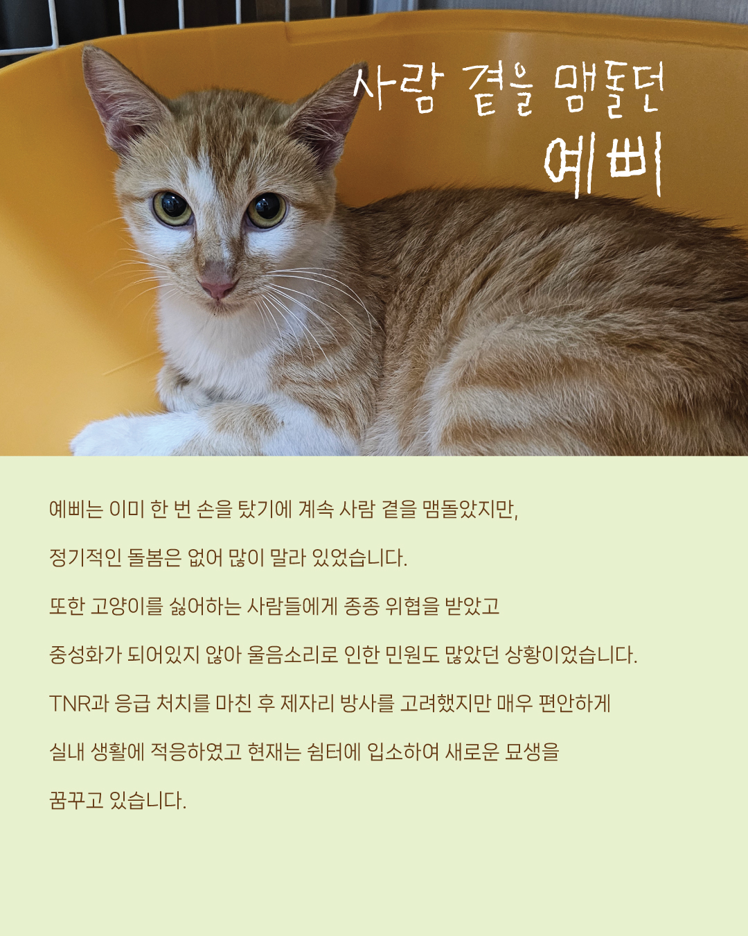 구조3.jpg