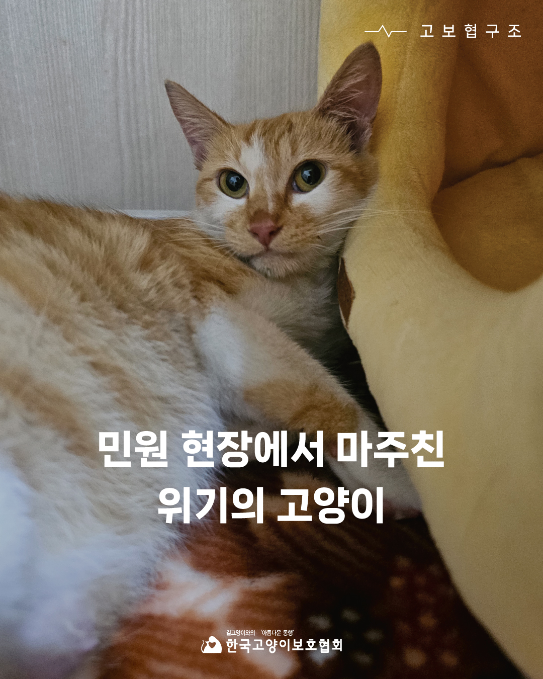 구조1.jpg