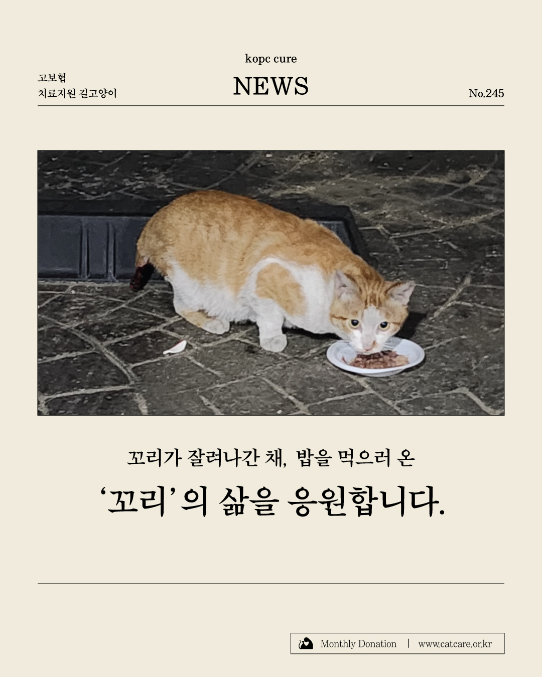 치료지원꼬리1.jpg