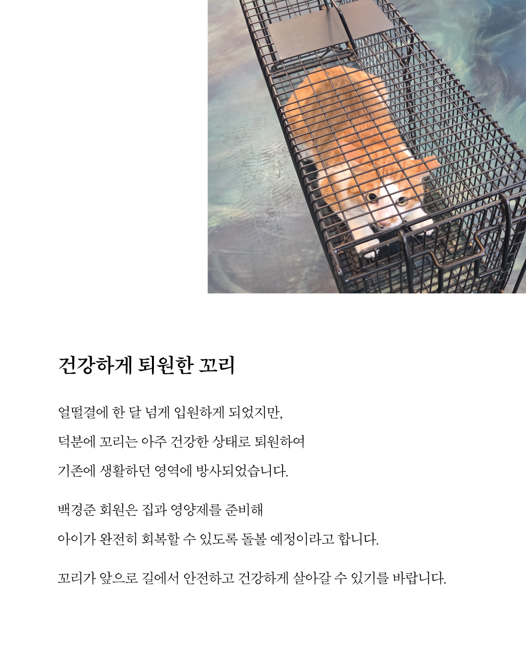 치료지원꼬리5.jpg