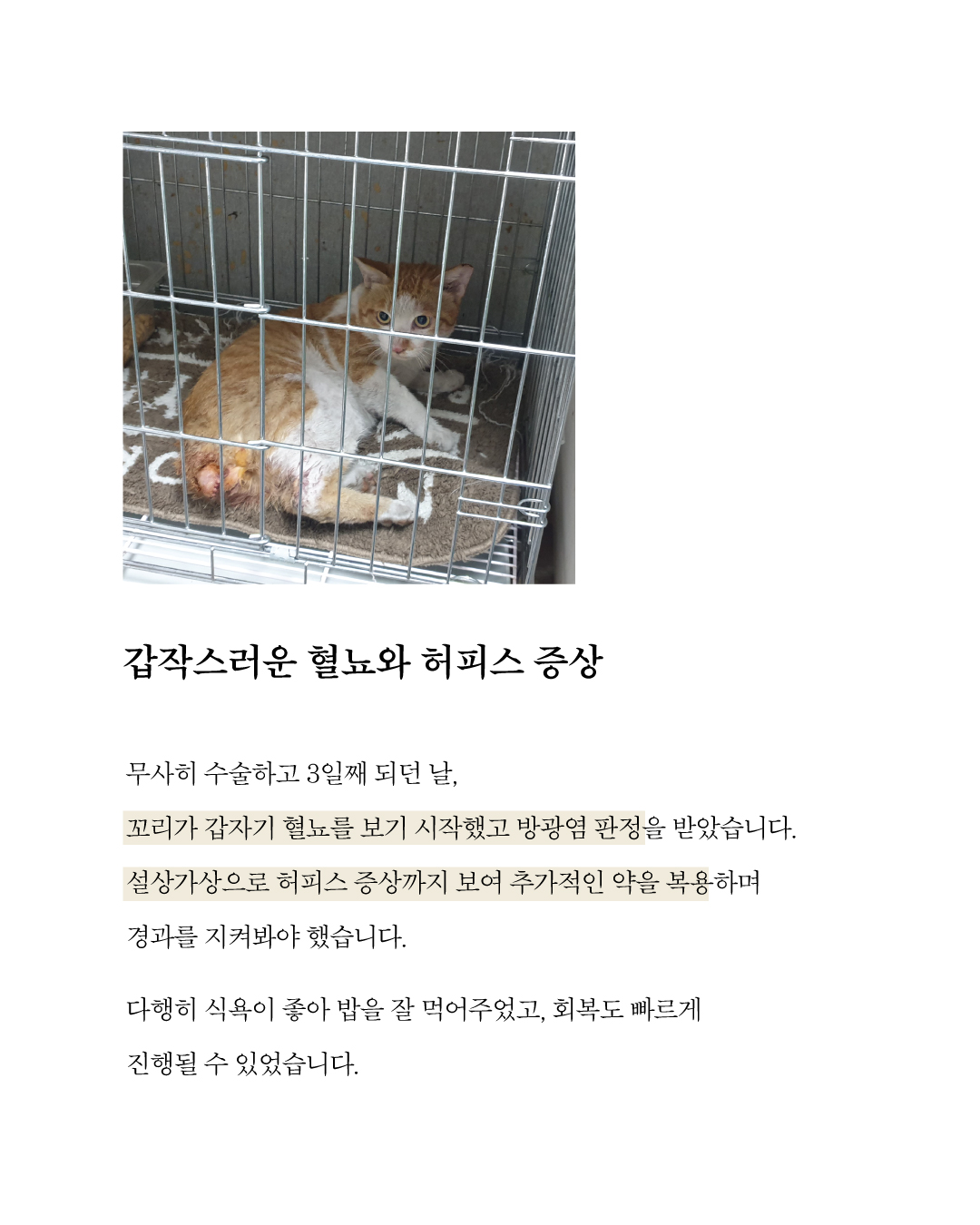 치료지원꼬리4.jpg