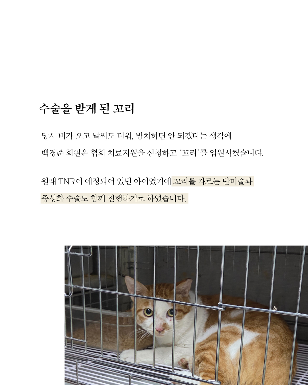 치료지원꼬리3.jpg