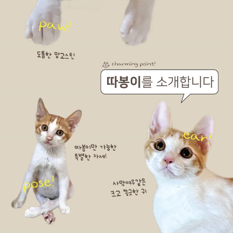 따봉입홍2.jpg