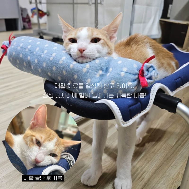 따봉입홍6.jpg