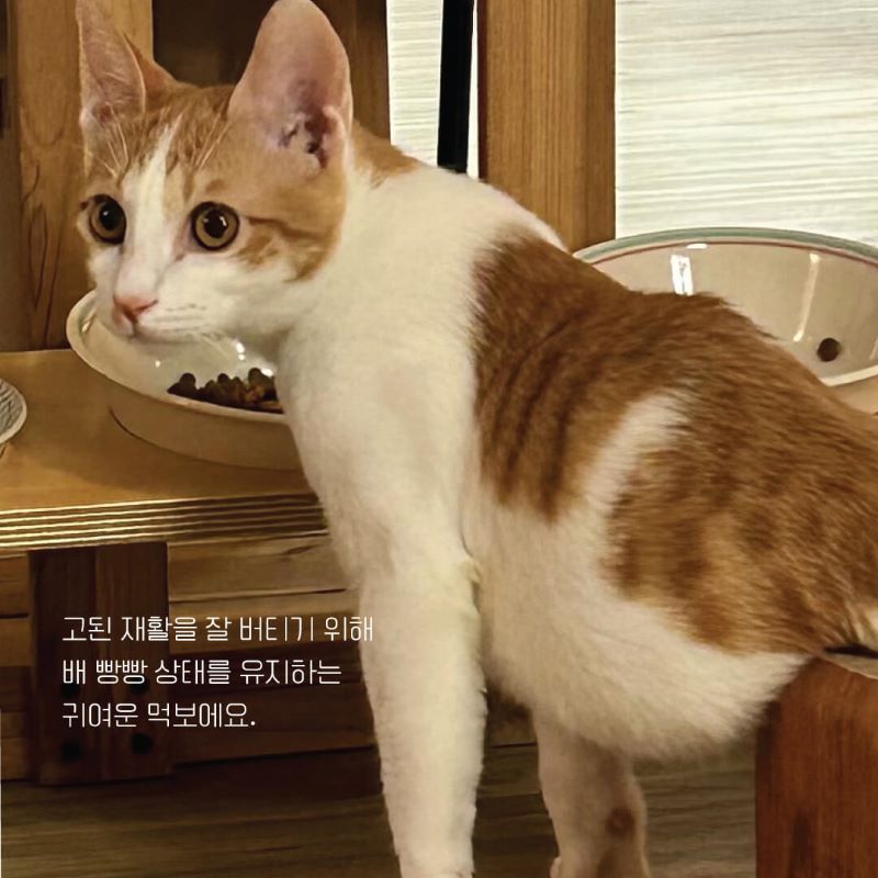 따봉입홍7.jpg
