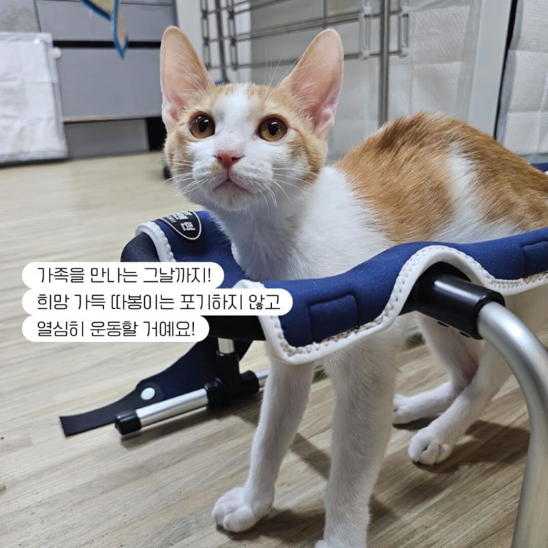 따봉입홍11.jpg