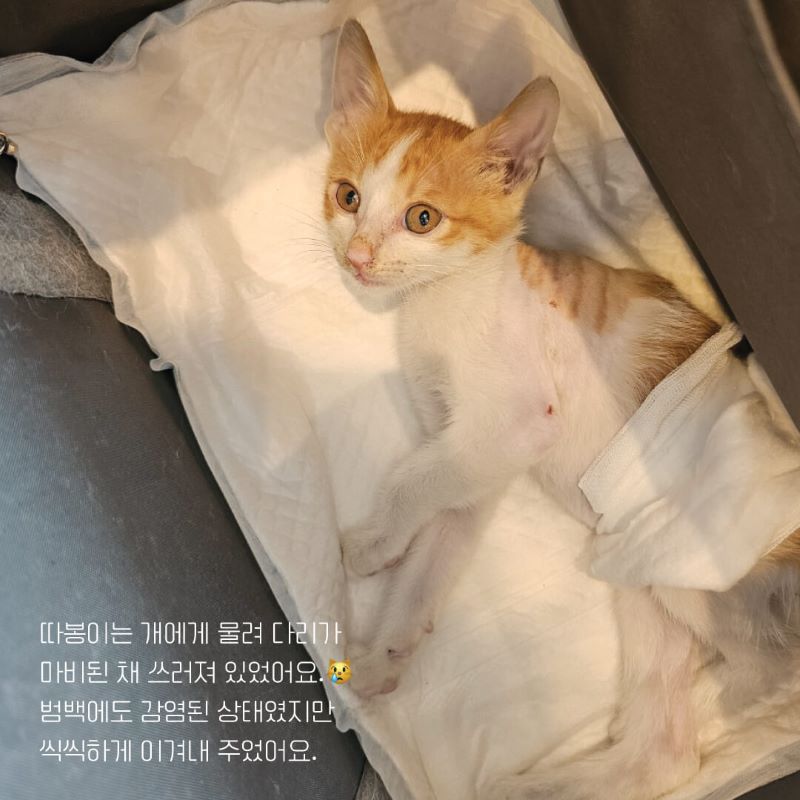따봉입홍3.jpg
