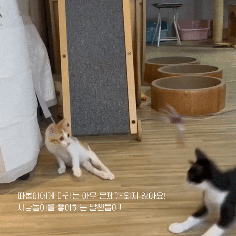 따봉입홍4.gif