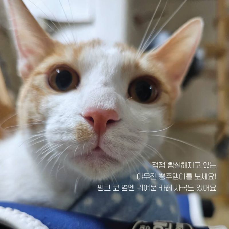 따봉입홍5.jpg