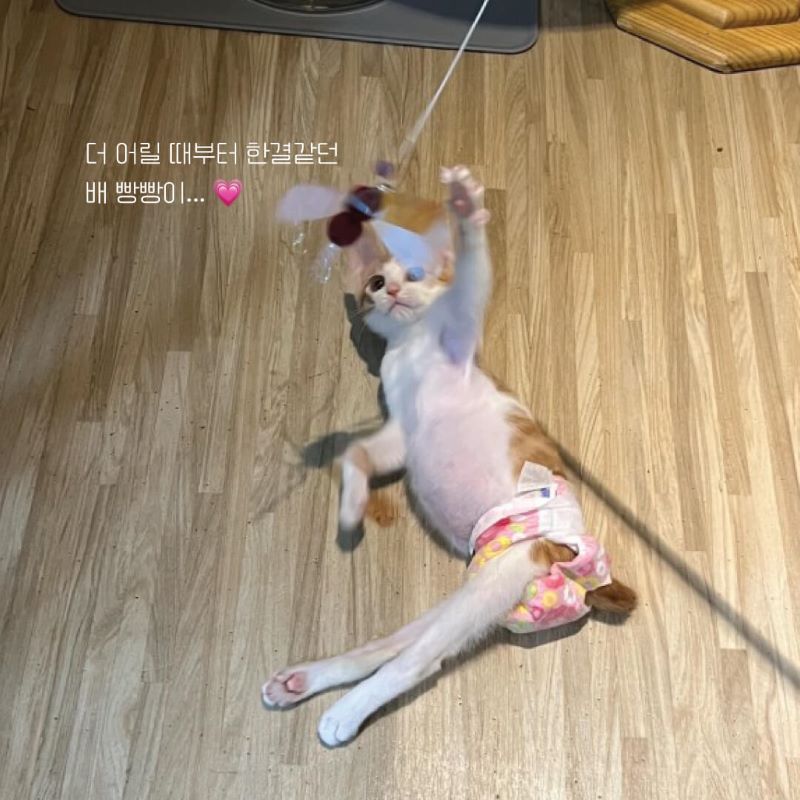 따봉입홍8.jpg